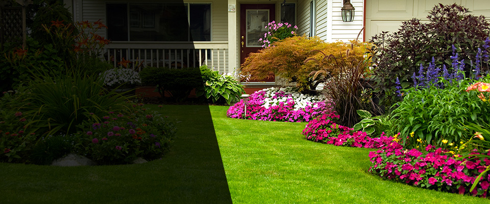 Bellville Landscapers